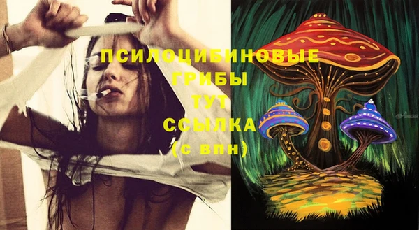 герыч Осинники