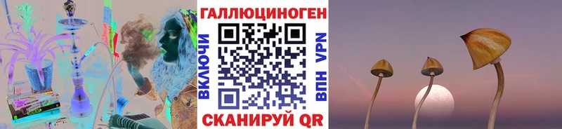 Псилоцибиновые грибы Cubensis  Бирюч 
